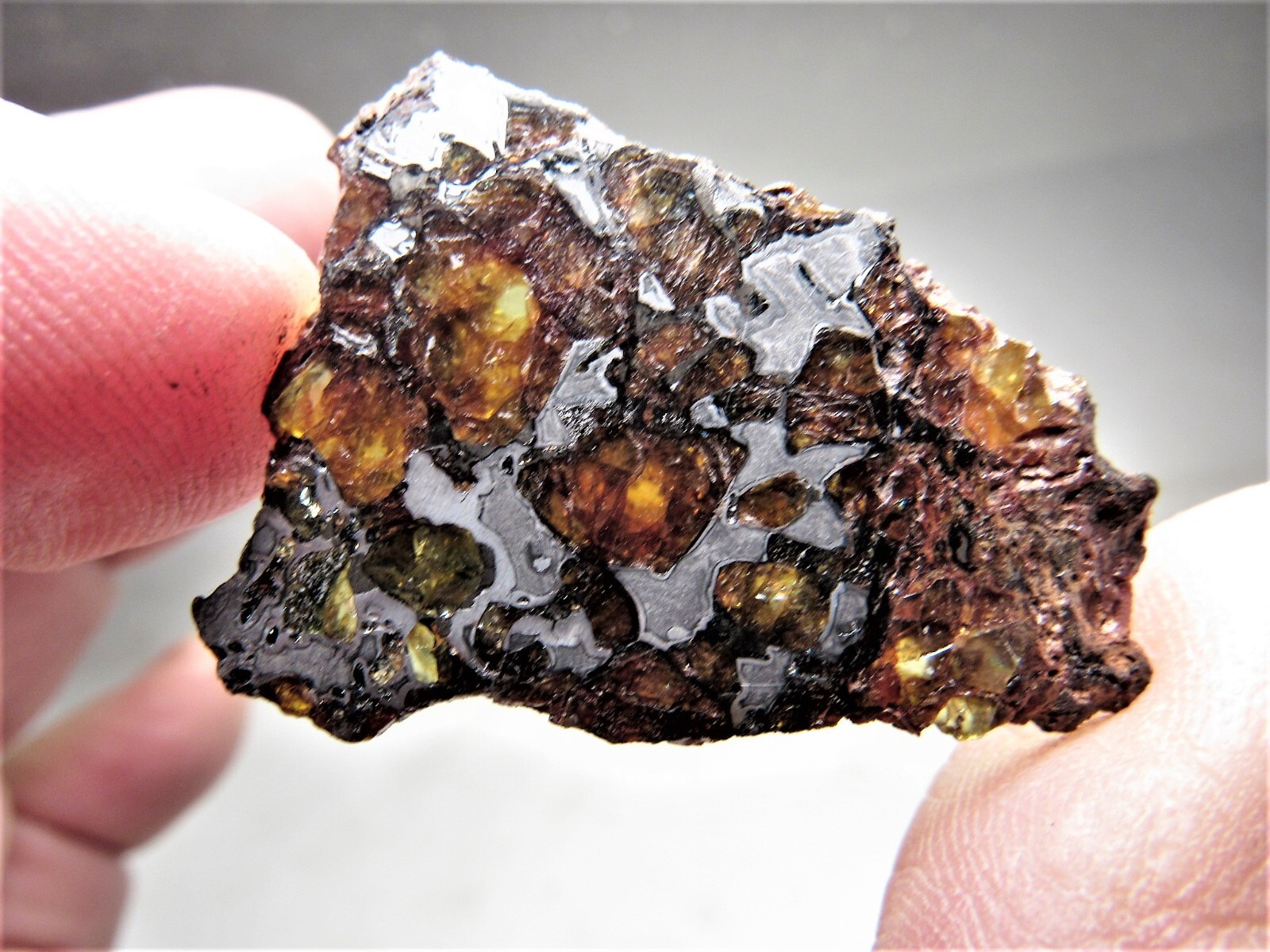 NEWEST NWA PALLASITE GORGEOUS GLOWING CRYSTALS NWA 14492 METEORITE 7.4 GMS