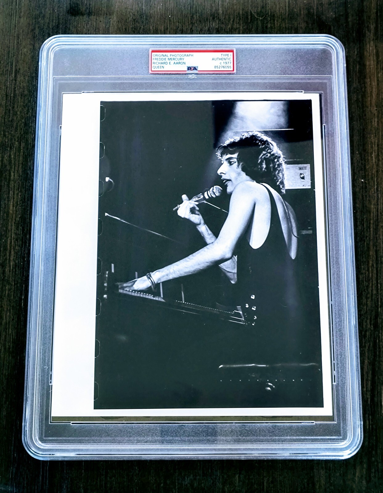 1977 Freddie Mercury 