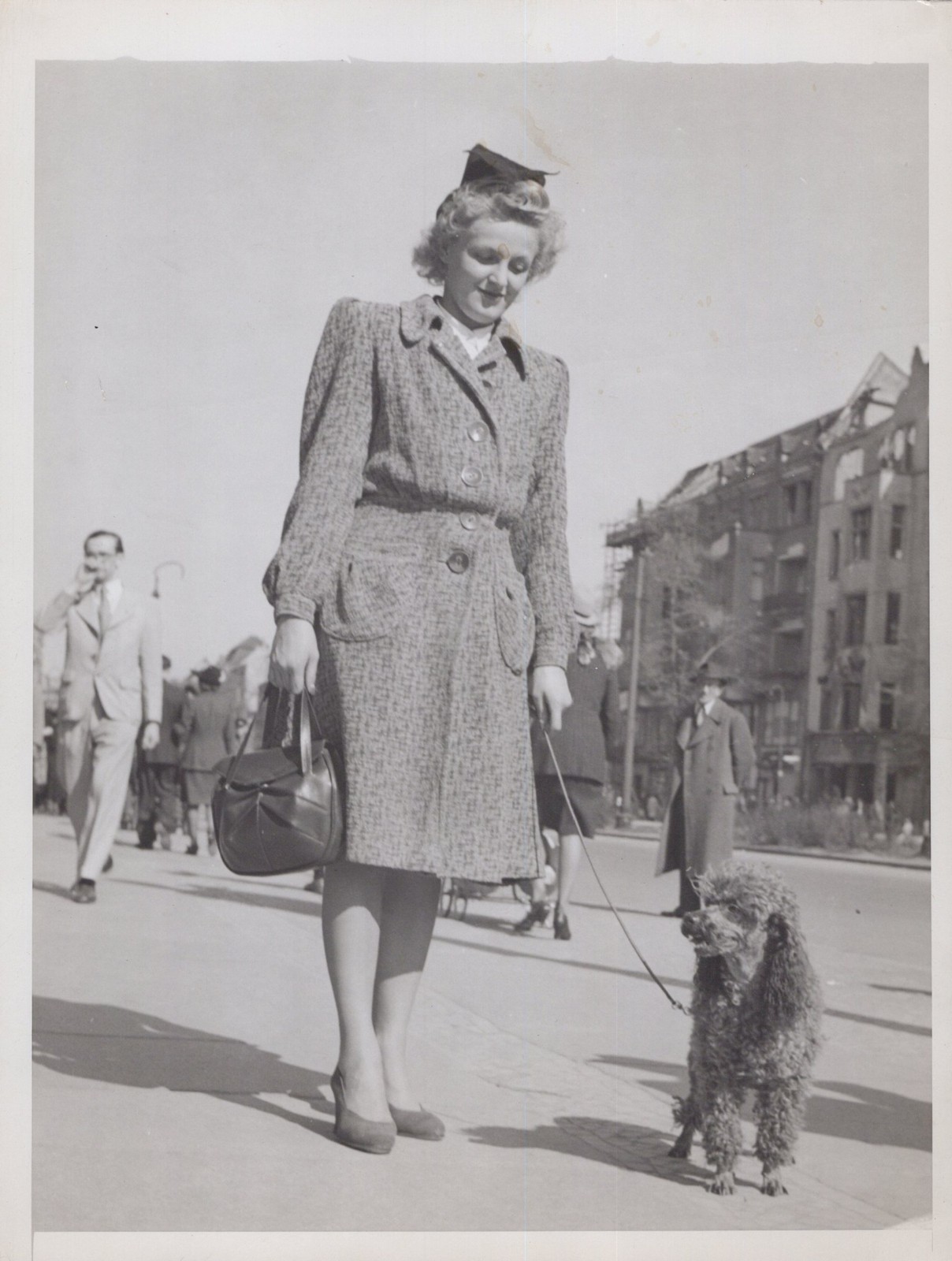 Postwar Berlin Kaiser Wilhelm Church poodle 1946 - Original Press Photo
