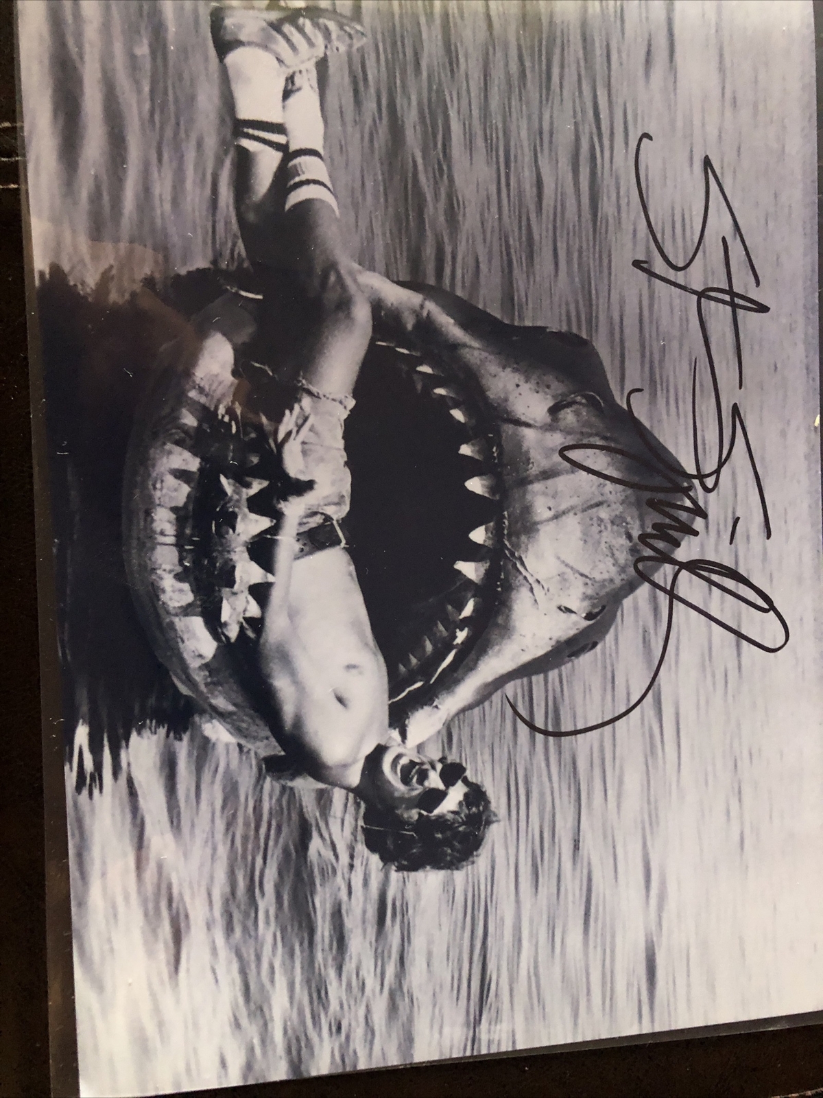 1975  JAWS “Steven Spielberg” Signed Black White 8&10 Comes W COA Rare