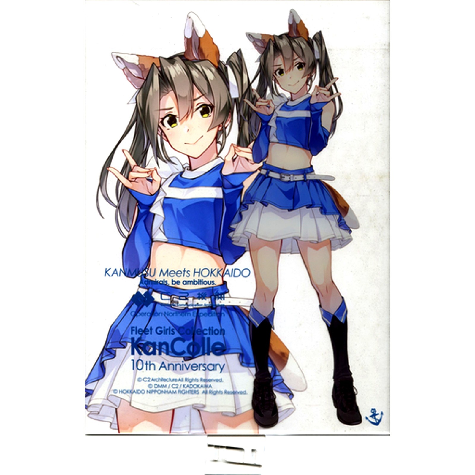 Zuikaku Fox mode KanColle KANMUSU Meets HOKKAIDO Ltd Acrylic Board Japan X916 Zuikaku Fox mode KanColle KANMUSU Meets HOKKAIDO Ltd Acrylic Board Japan X916