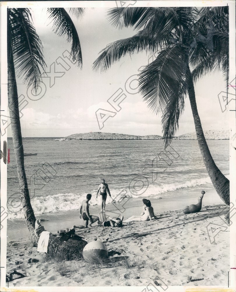 1964 People Enjoy Tropical Palm Line Beach Puerto Rico North Shore Press Photo 1964 People Enjoy Tropical Palm Line Beach Puerto Rico North Shore Press Photo