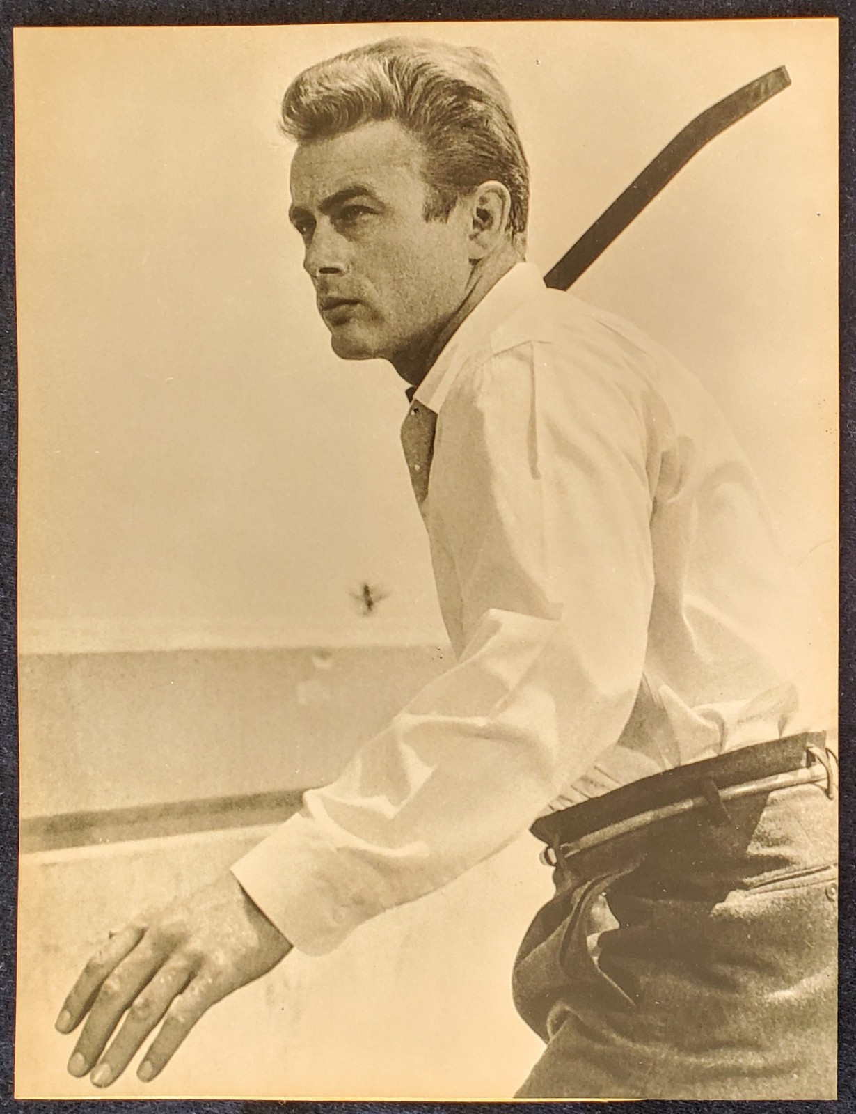1955 James Dean Rebel Without A Cause Floyd McCarty Warner Bros MOMA 8x9 Photo 1955 James Dean Rebel Without A Cause Floyd McCarty Warner Bros MOMA 8x9 Photo