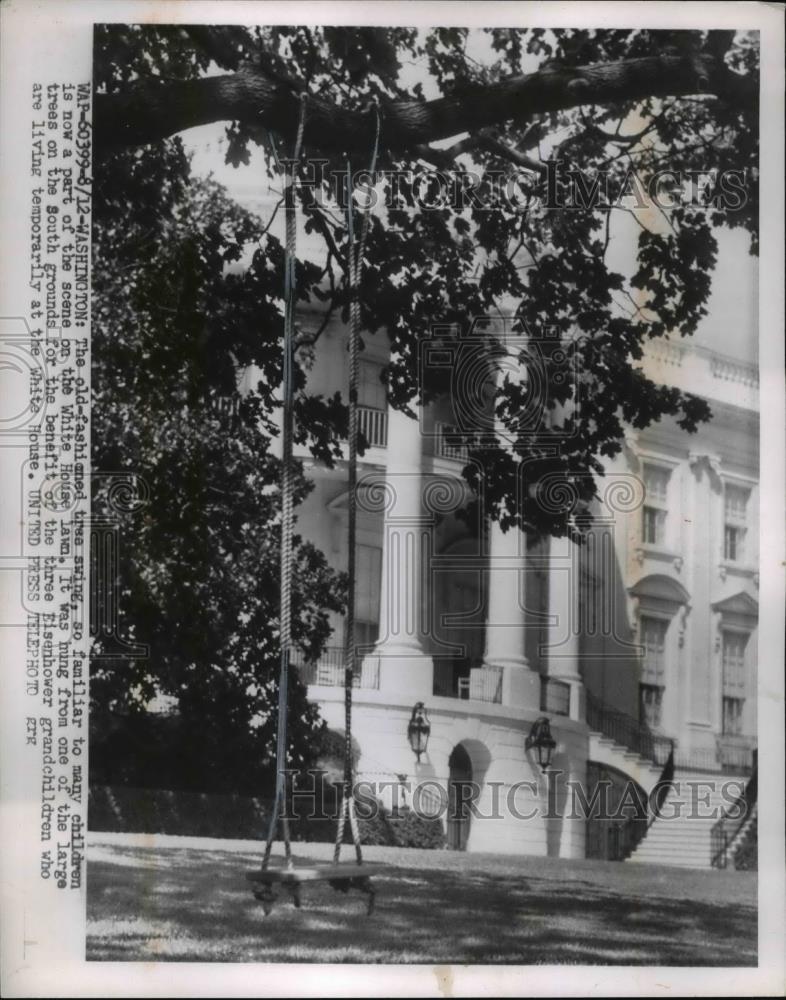 1954 Press Photo Washington DCthe old fashioned tree swing is now a fixture on 1954 Press Photo Washington DCthe old fashioned tree swing is now a fixture on