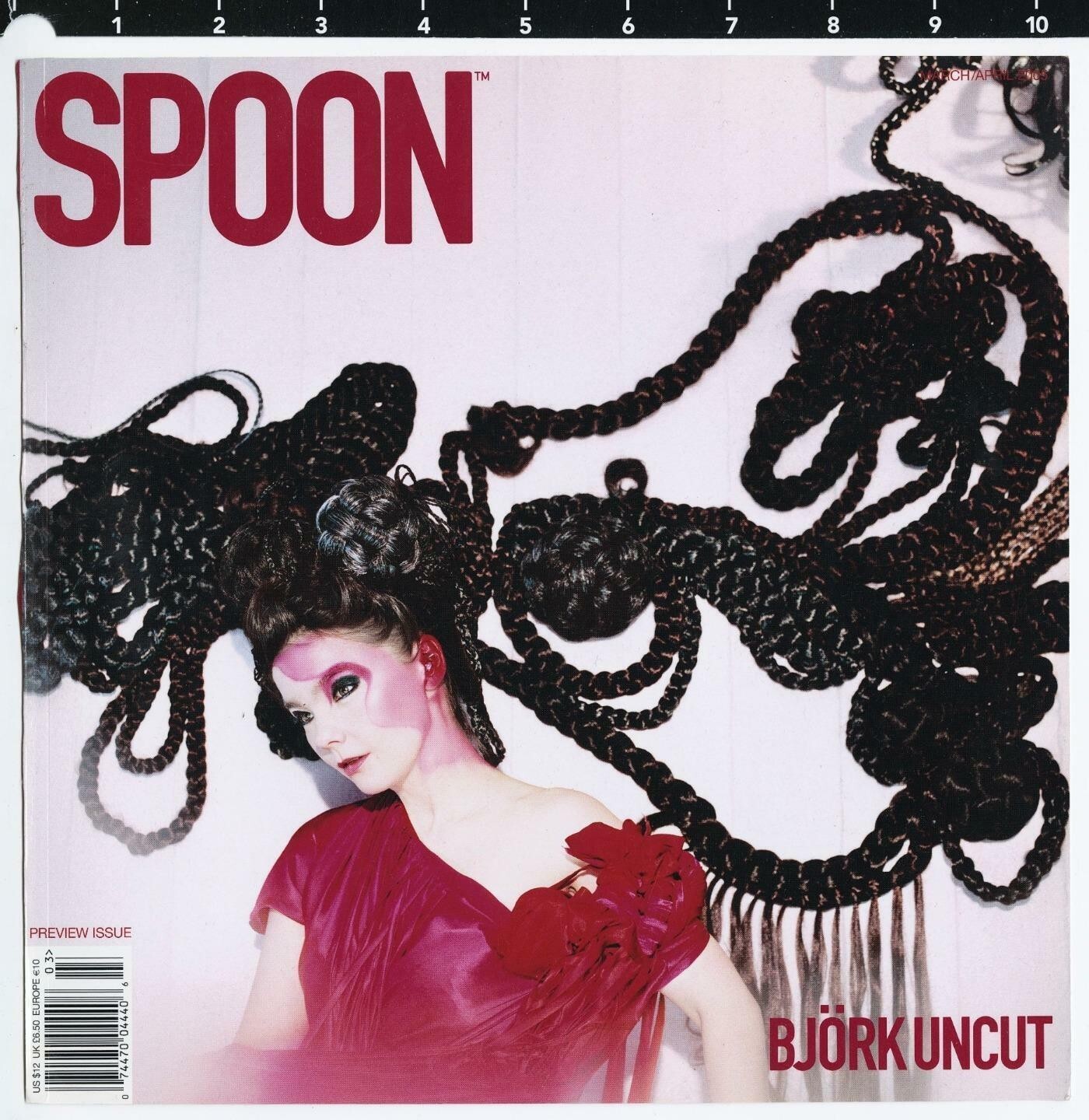 2005 Bjork Spoon Magazine Preview Photo by Erez Sabag on Acrylic/Aluminum SIGNED