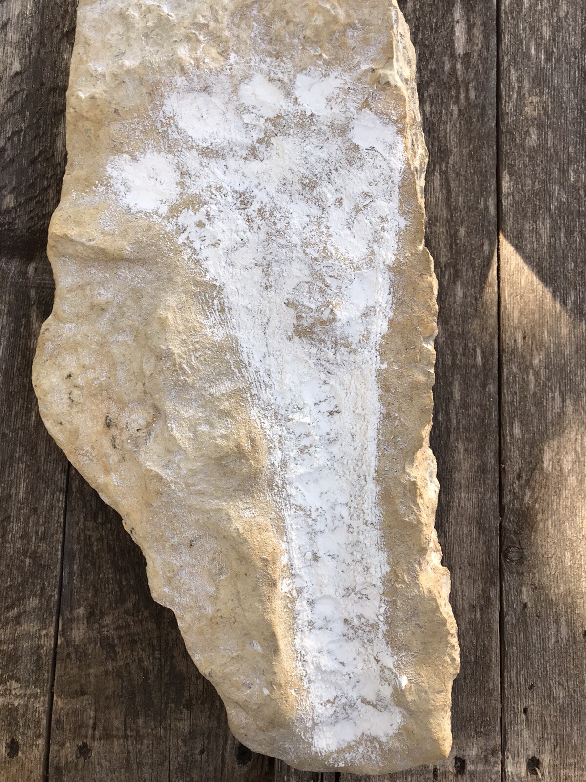 Ancient fossil footprint Amazing Find Ancient fossil footprint Amazing Find