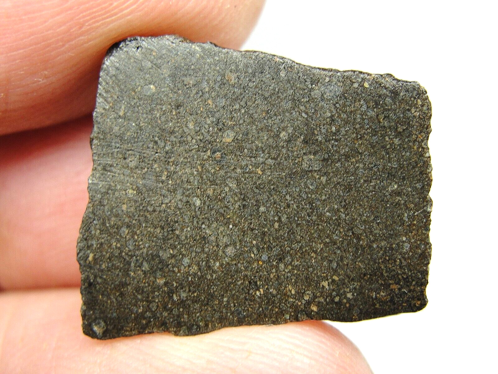 NWA 15937 Carbonaceous CO3.05 Chondrite - G741-0009 - 3.57g - #2 Ever - 100 CLUB