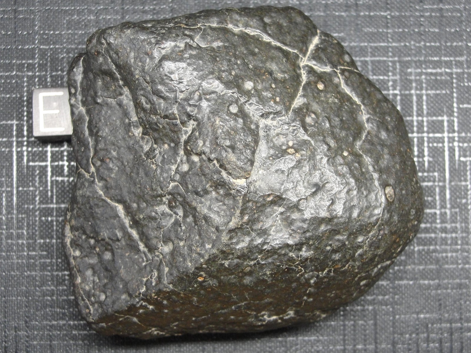 NWA 15937 Carbonaceous CO3.05 Chondrite - G741-001 - 236.0g MAIN MASS - 100 CLUB NWA 15937 Carbonaceous CO3.05 Chondrite - G741-001 - 236.0g MAIN MASS - 100 CLUB