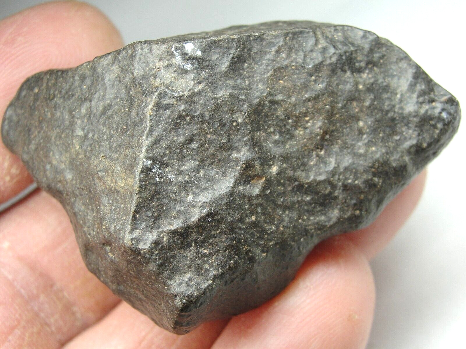 NWA 15937 Carbonaceous CO3.05 Chondrite - G741-0002 - 52.09g - COA - 100 CLUB NWA 15937 Carbonaceous CO3.05 Chondrite - G741-0002 - 52.09g - COA - 100 CLUB