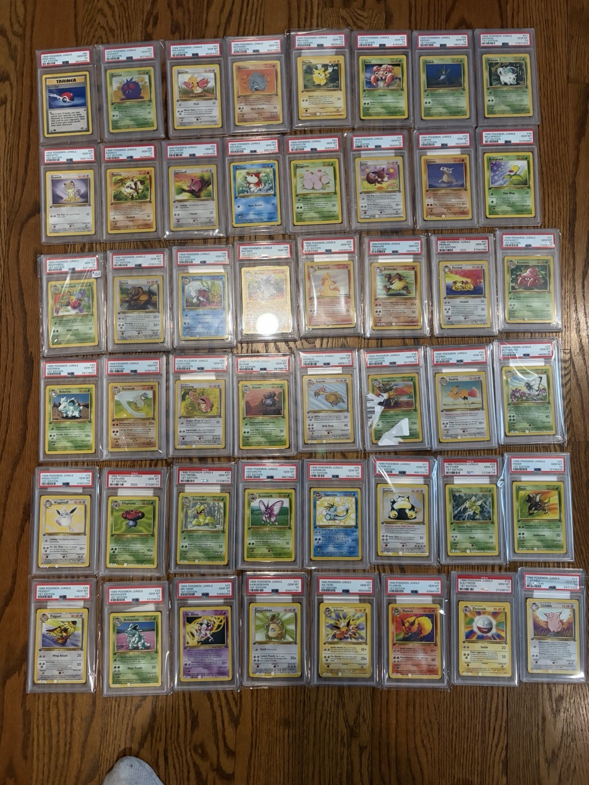 1999 Pokémon Jungle First Edition PSA 10 GEM 17-64 Lot 1999 Pokémon Jungle First Edition PSA 10 GEM 17-64 Lot