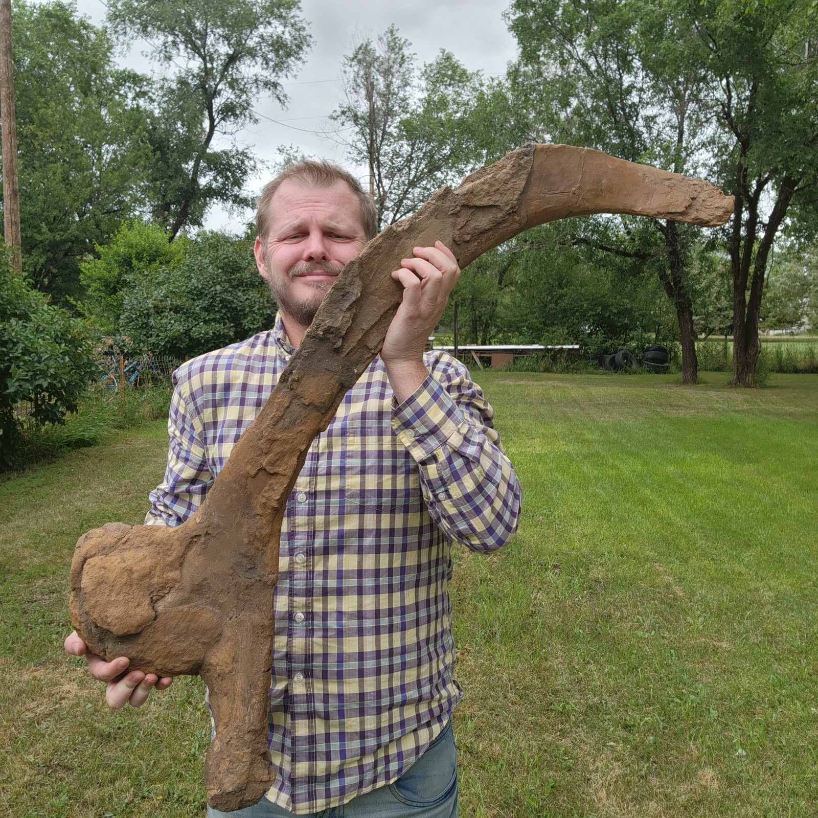 Torosaurus Triceratops Ischium - Dinosaur Fossil Hell Creek Formation Cretaceous Torosaurus Triceratops Ischium - Dinosaur Fossil Hell Creek Formation Cretaceous