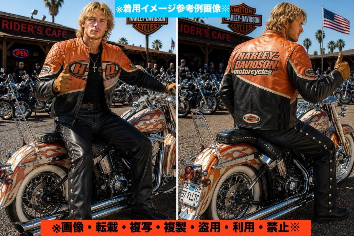Rare Front And Rear Large Embroidery Sleeve Model Hard To Get Extreme Harley Dav