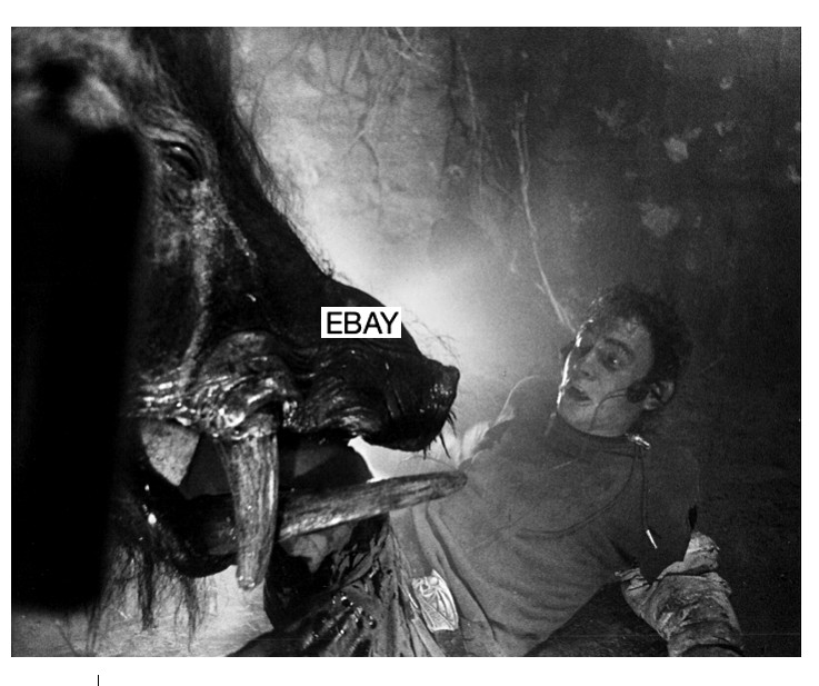 RAZORBACK 1984 HORROR MOVIE PHOTO AUSTRALIAN OUTBACK RUSSELL MULCAHY MONSTER