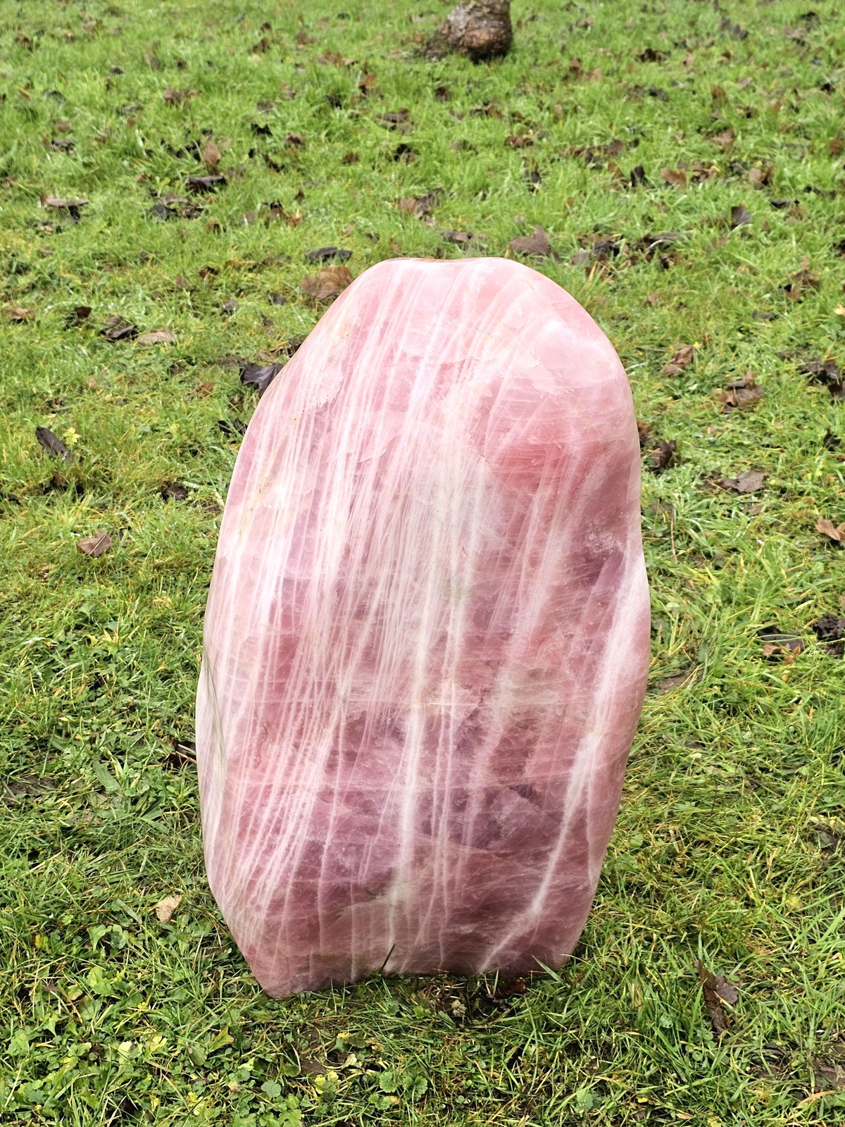 Very Large Stunning  Rose Quartz Crystal Freeform Statement Piece 88KG