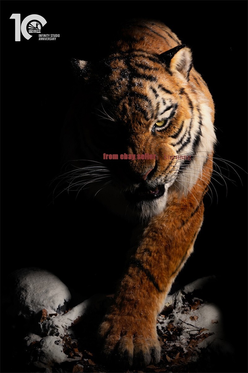 Infinity Studio Museum Grade Replica 1/1 Scale Manchurian Tiger Statue