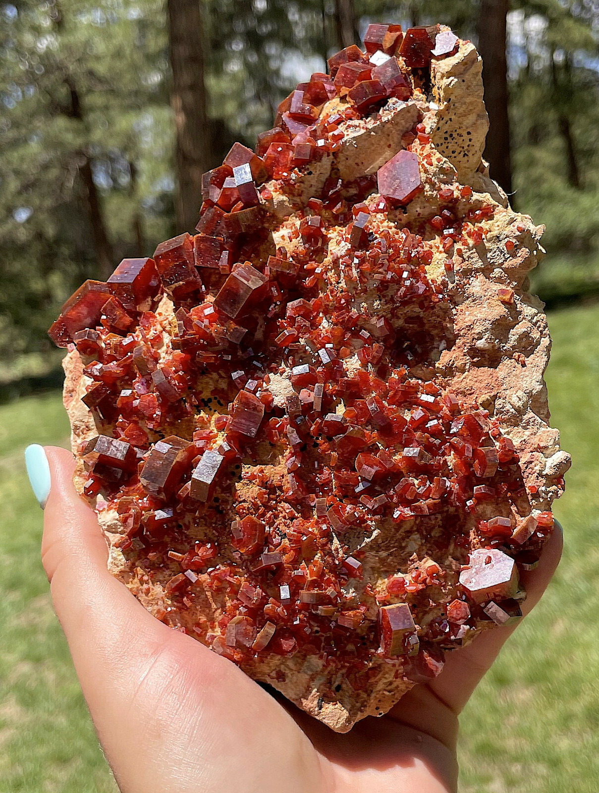 Vanadinite Large Bright Red Crystals On Matrix From Morocco 15.0 Cms Vanadinite Large Bright Red Crystals On Matrix From Morocco 15.0 Cms