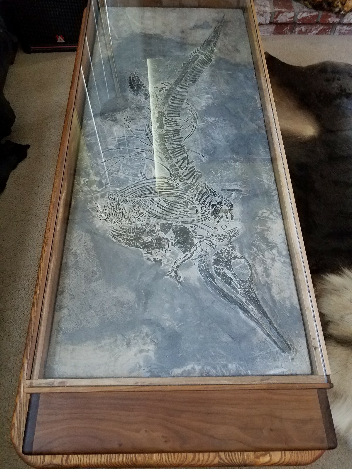Rare 100% Genuine Ichthyosaur Dinosaur Fish Reptile Fossil Plate Exquisite Rare 100% Genuine Ichthyosaur Dinosaur Fish Reptile Fossil Plate Exquisite