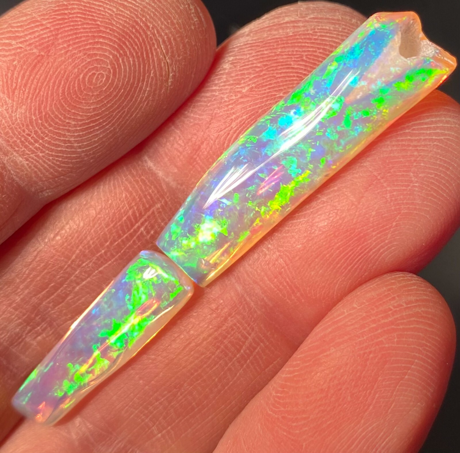 19.55ct Rare Australian Belemnite Pipe Opal Fossil Jewelry Collectors Gem
