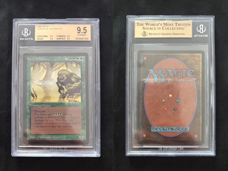 Force Of Nature BETA Mtg MINT Graded BGS 9.5 QUAD (9.5/9.5/9.5/9.5) Force Of Nature BETA Mtg MINT Graded BGS 9.5 QUAD (9.5/9.5/9.5/9.5)
