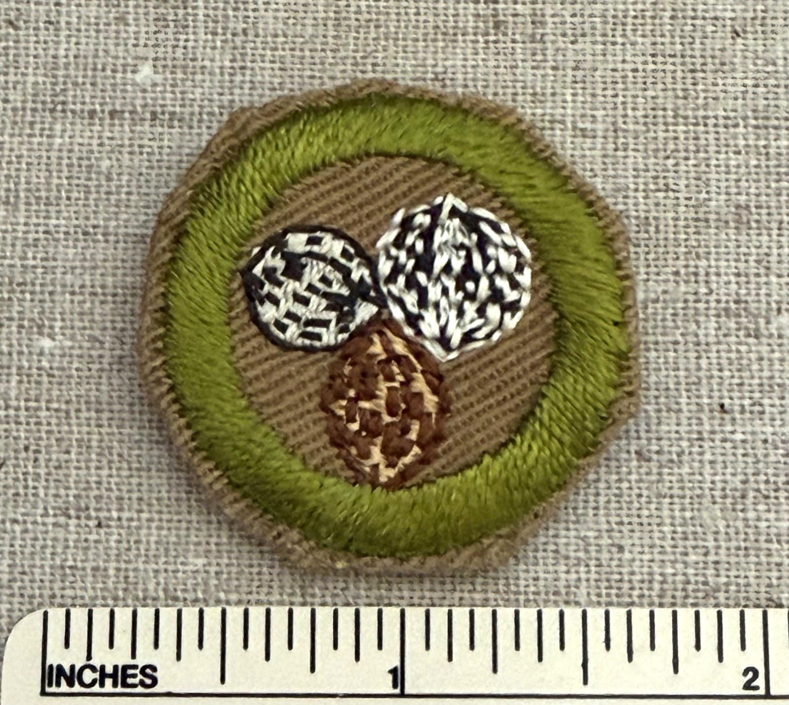 Vintage 1930s-40s? NUT CULTURE Boy Scout Merit Badge PATCH BSA Scouting Award