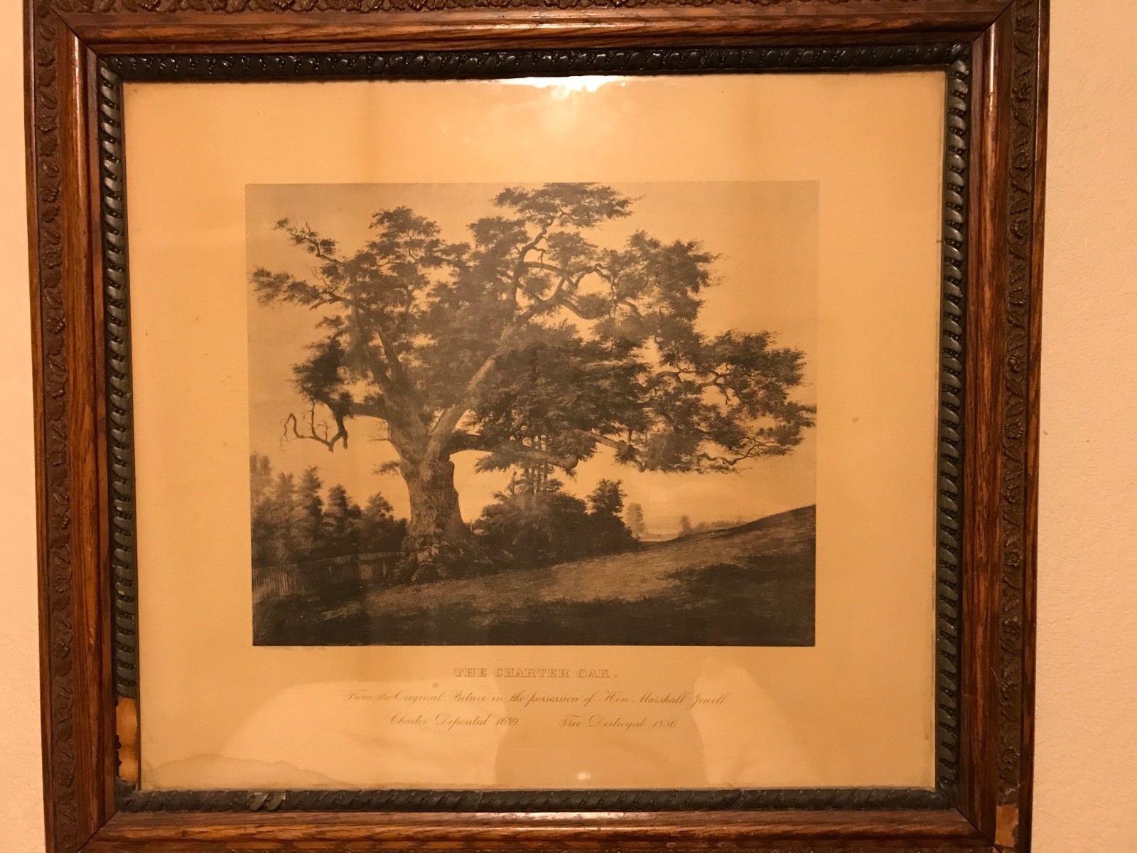 Connecticut Charter Oak Picture and Frame