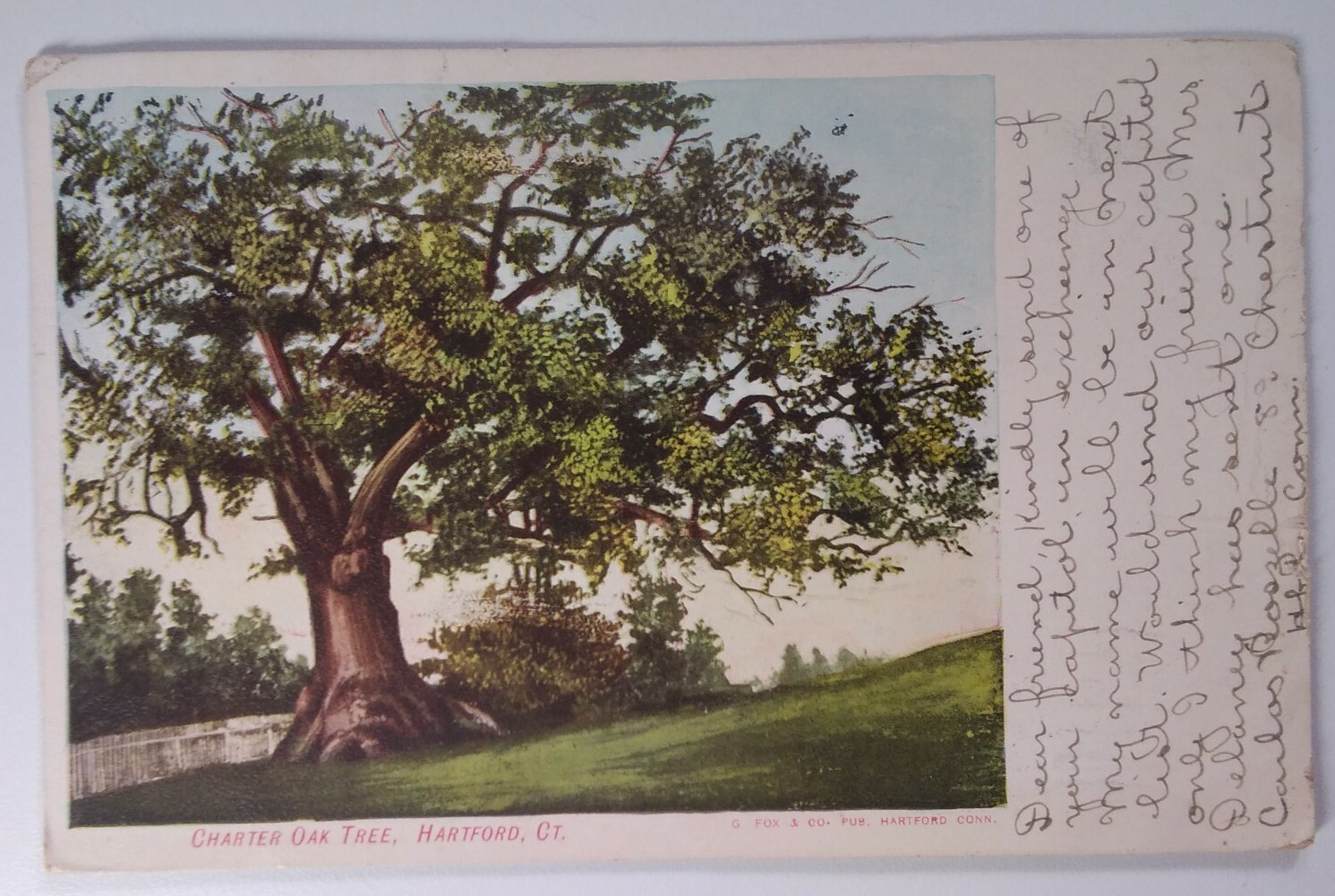 Connecticut Postcard 1906 Original Rare Hartford Charter Oak Tree Franklin Stamp Connecticut Postcard 1906 Original Rare Hartford Charter Oak Tree Franklin Stamp