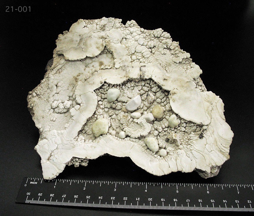 BISBEE SW MNINE EXTREMELY RARE BIRDS NEST HUGE 7.75