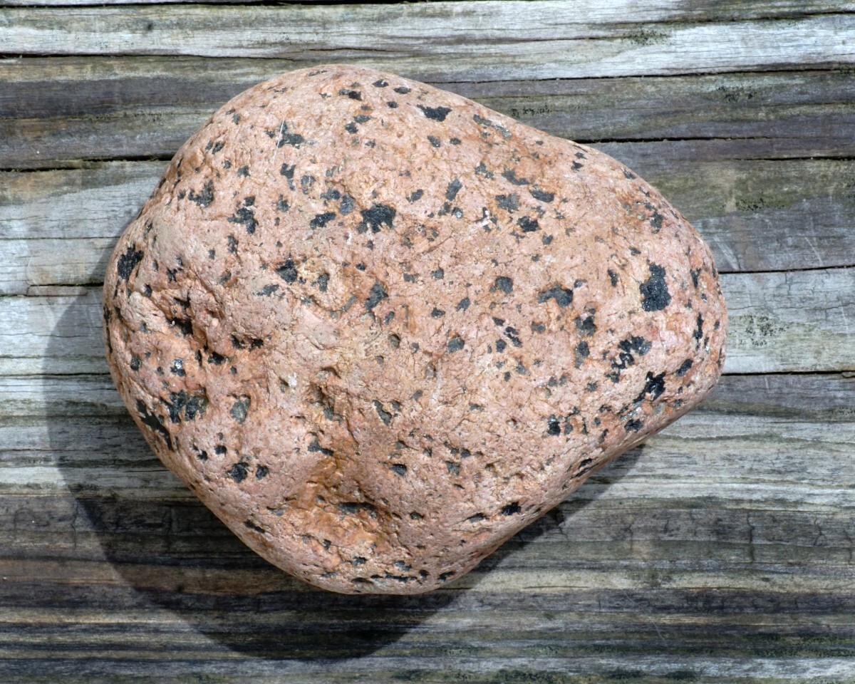 Cape Cod Rock. From my  Beach. You'll like it This one is smaller tho