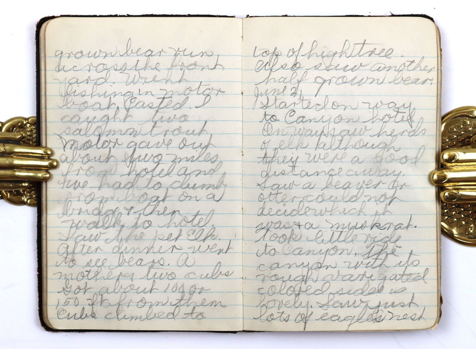 [HAWAII-CONGRESSIONAL PARTY] Historically Important Diary of 17yo O.Pringle 1915