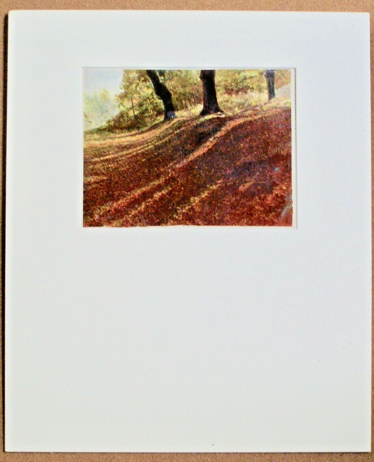 Lot of 10 Landscape Color Photos by Edith L. Wills, 1920s-30s, mounted, matted.