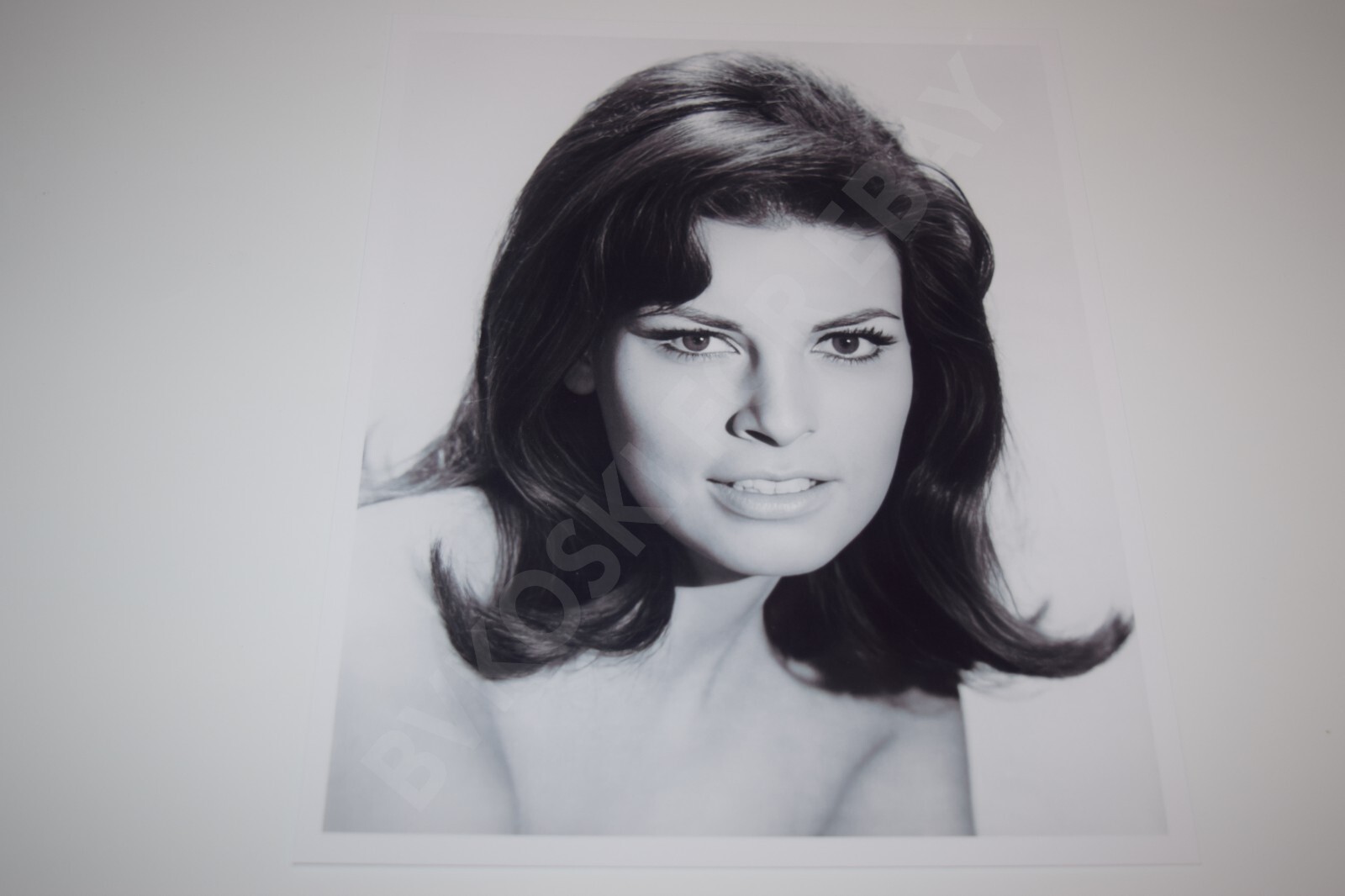 Raquel Welch pinup 8x10 glossy photo Busty Sexy Gorgeous Cleavage 1771 Raquel Welch pinup 8x10 glossy photo Busty Sexy Gorgeous Cleavage 1771