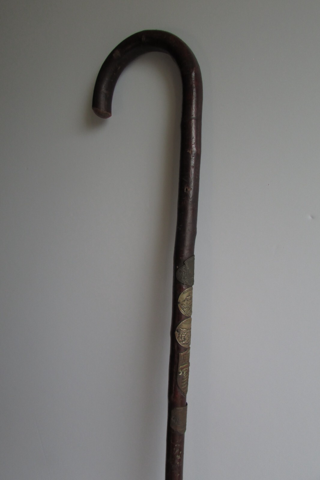 RARE 7th World Jamboree Austria 1951 Boy Scouts Cane