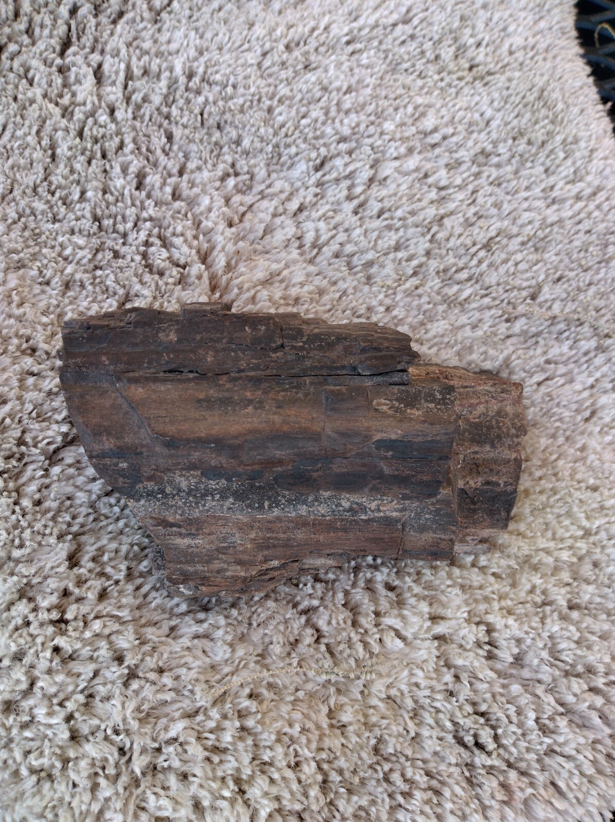 Petrified wood half log that's crystallize it's a beautiful piece Petrified wood half log that's crystallize it's a beautiful piece