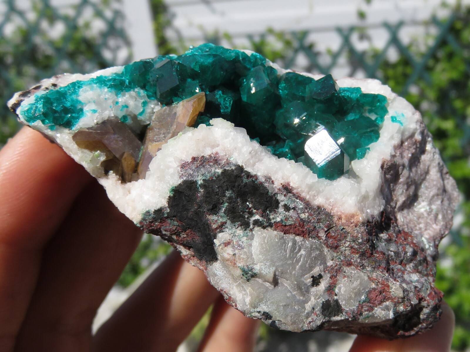 Green Dioptase With Wulfenite Namibia Green Dioptase With Wulfenite Namibia