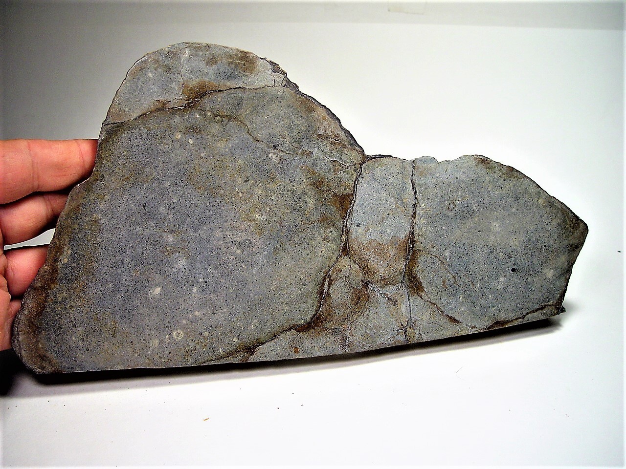 WORLD CLASS HUGE END CUT NICE AL HAGGOUNIA 001 EL MELT ROCK METEORITE 2065 GMS WORLD CLASS HUGE END CUT NICE AL HAGGOUNIA 001 EL MELT ROCK METEORITE 2065 GMS