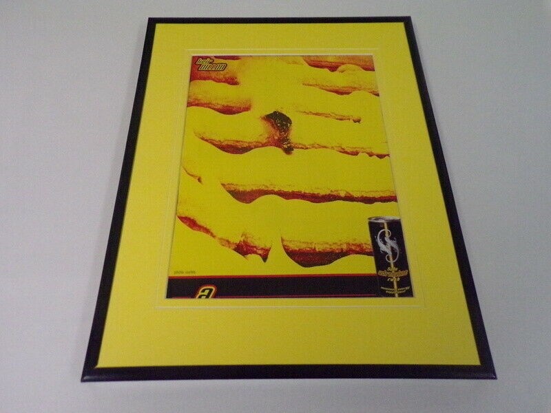 2001 Sobe Adrenaline Rush Framed 11x14 ORIGINAL Vintage Advertisement 2001 Sobe Adrenaline Rush Framed 11x14 ORIGINAL Vintage Advertisement