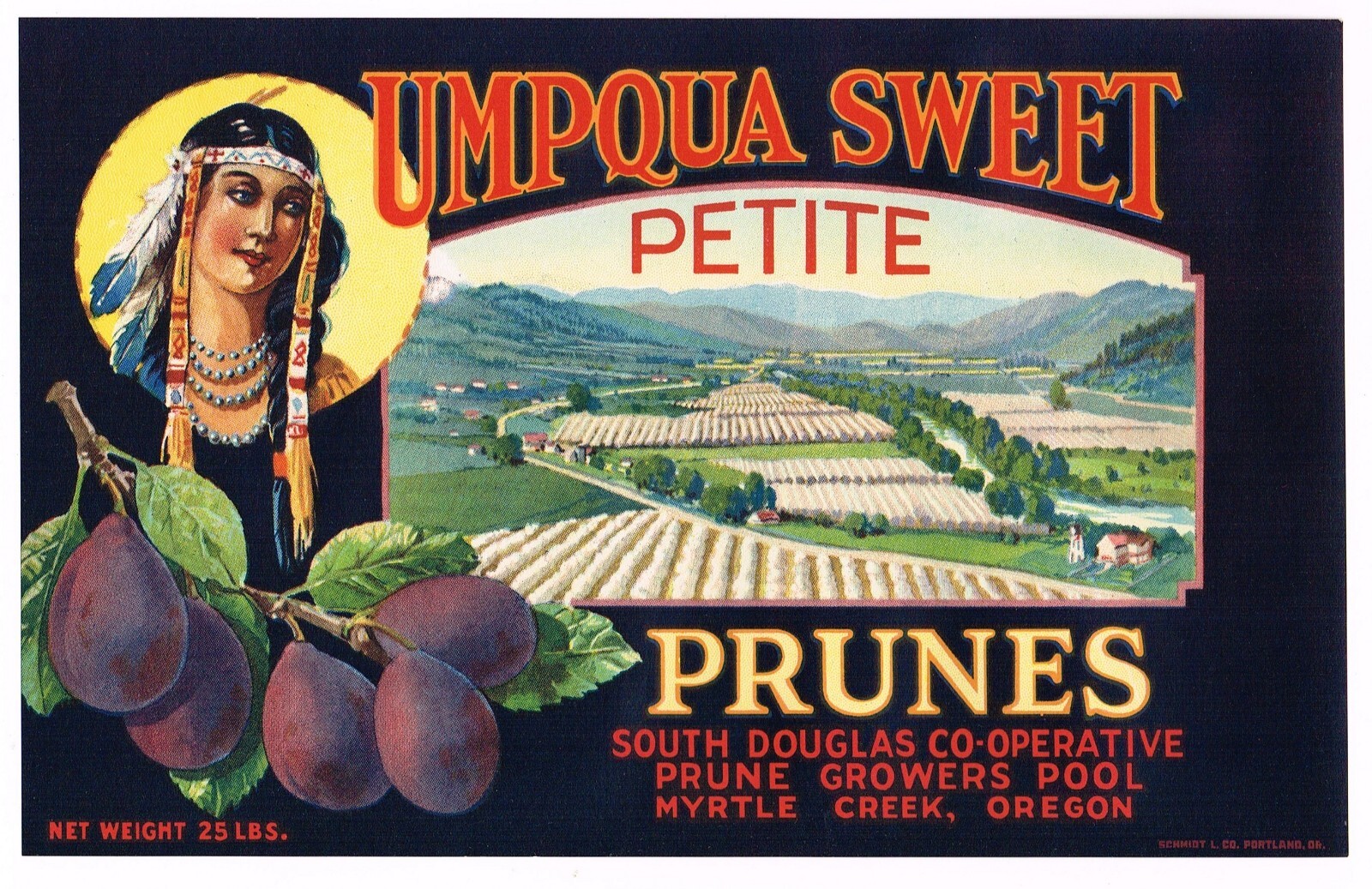 ORIGINAL VINTAGE 1920S OREGON PRUNE LABEL MYRTLE CREEK UMPQUA INDIAN GIRL SCARCE ORIGINAL VINTAGE 1920S OREGON PRUNE LABEL MYRTLE CREEK UMPQUA INDIAN GIRL SCARCE