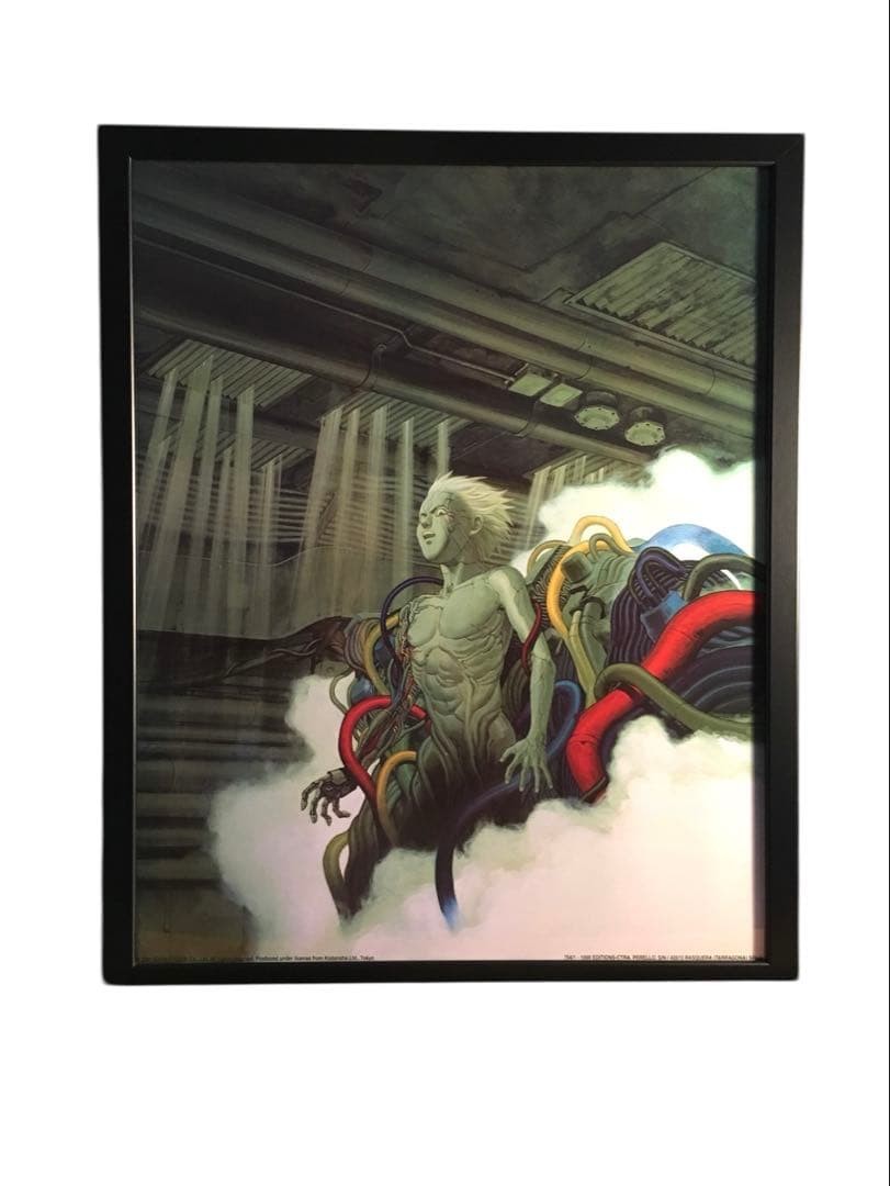AKIRA Tetsuo Poster Art 40x50 Europe Size Ready to Use Authentic Genuine