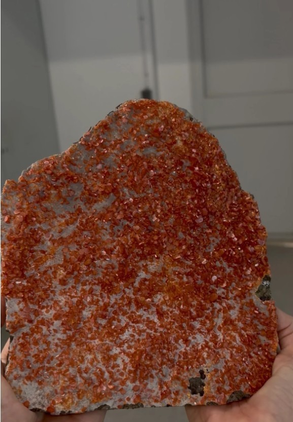 Large Wulfenite Plate with Gorgeous Reddish-Orange Crystals – Large Cabinet Size