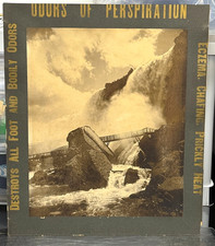 c 1880's RARE George Barker Niagara Falls NY Advertising Sign Medicine 20x24 picture
