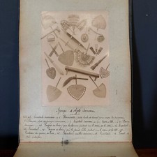Album 29 photos Mataafa Samoa missionary scenes warriors M3447 picture