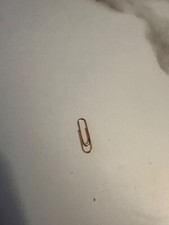 PapER CLiP - that’s it. Just a paper clip picture