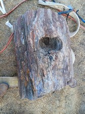 Perfectly Full Round Freestanding Petrified Wood Stump with 3 woodpecker holes picture