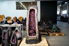 6.7 Feet Tall X-Large Amethyst Geode with Rare Golden Rutile (Goethite) Flower picture