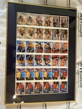 1994 SkyBox Star Trek 22x31 Master Series Custom Framed Uncut Chase Cards picture