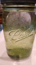 RARE Vintage 2026 Trump Memorial Reflecting Swamp Algae | Certified Greenwater picture