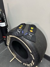 Carlos Sainz J. 2024 Gloves🏁🏎️ Autographed picture