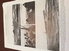 M12d ephemera ww2 1940s picture russian convoy mcgrigor bellona nairana picture