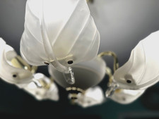 Impressive, Vintage Italian Six Light Chandelier with Murano Glass Leaves/Petals picture