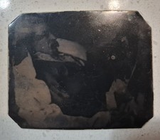 MARK TWAIN 2.5X3 INCHES tintype Photo picture